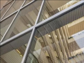 Preventing Window Collisions & Death Of Migratory Birds Preventing Window Collisions & Death Of Migratory Birds