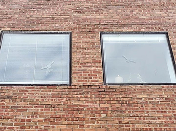 Preventing Window Collisions & Death Of Migratory Birds Preventing Window Collisions & Death Of Migratory Birds