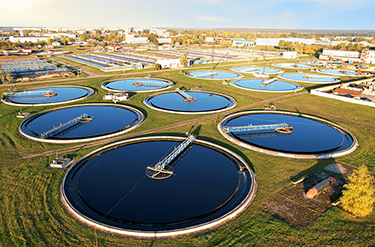 Water Treatment Plant Bird Control Service Waste water treatment plant